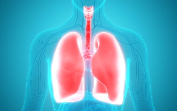 Pneumonia: o que é, quais os sintomas e riscos e como prevenir