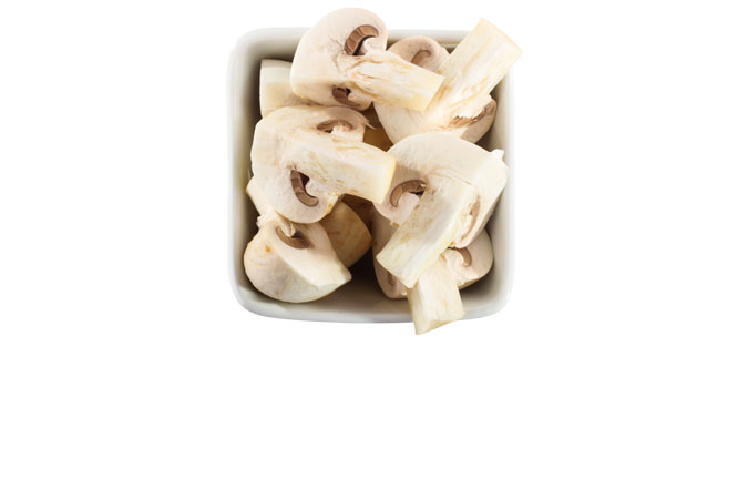 Cogumelos: Fonte de proteína vegetal